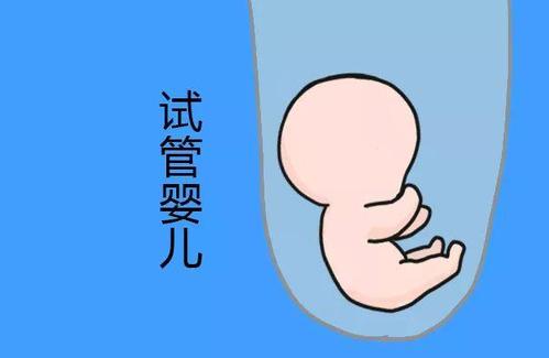 检验中心